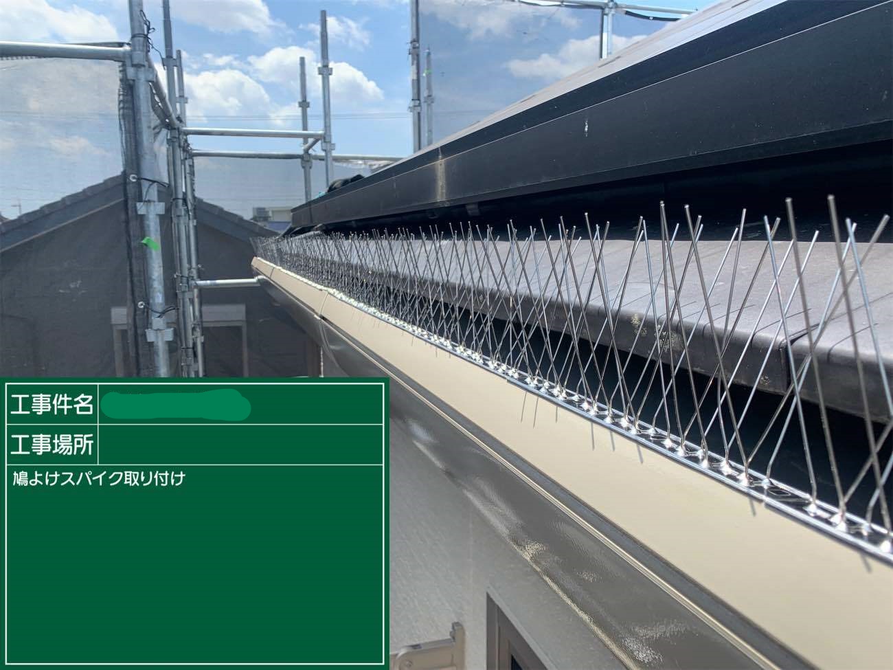 鳩よけスパイク取付