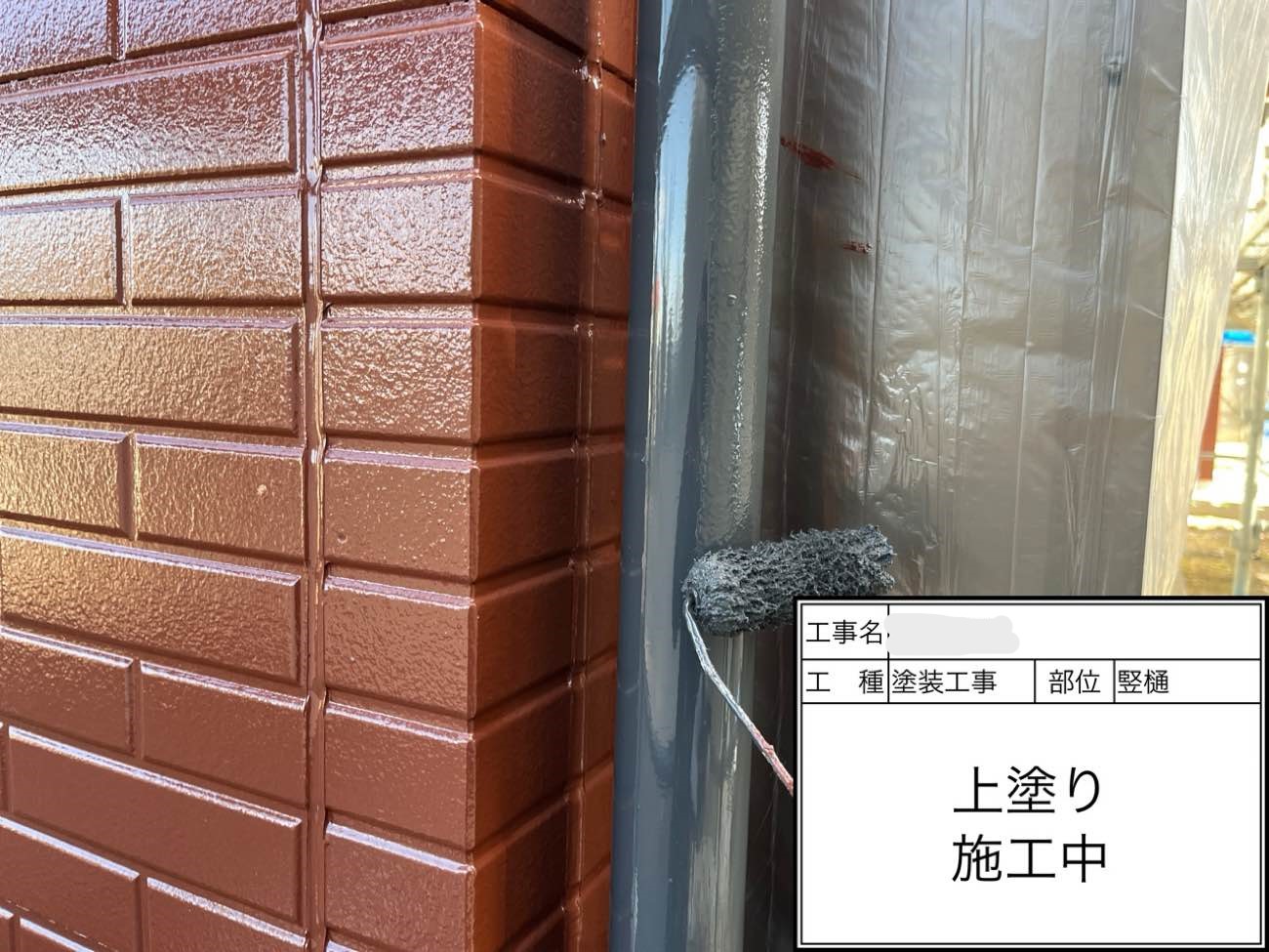 竪樋 上塗り